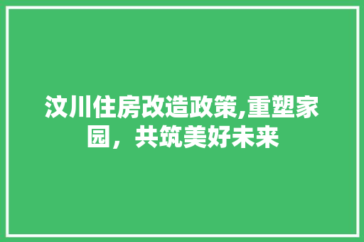 汶川住房改造政策,重塑家园，共筑美好未来