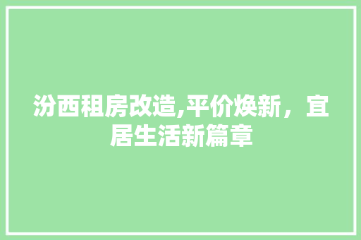 汾西租房改造,平价焕新，宜居生活新篇章