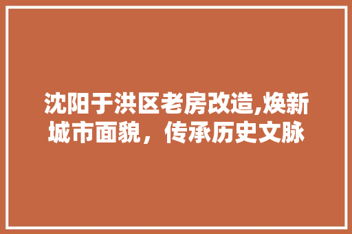 沈阳于洪区老房改造,焕新城市面貌，传承历史文脉