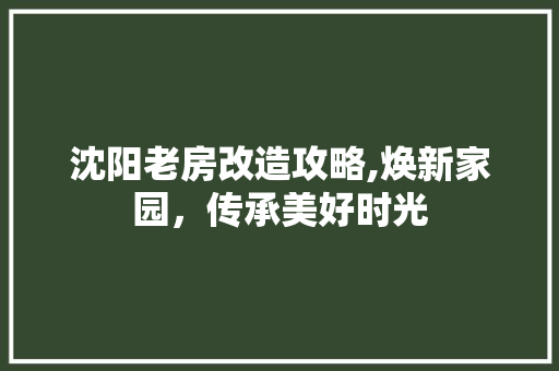 沈阳老房改造攻略,焕新家园，传承美好时光