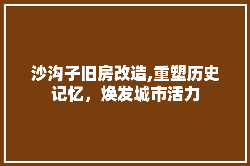 沙沟子旧房改造,重塑历史记忆，焕发城市活力