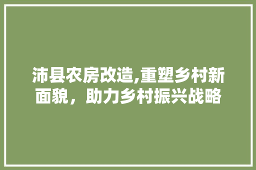沛县农房改造,重塑乡村新面貌，助力乡村振兴战略