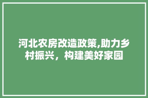河北农房改造政策,助力乡村振兴，构建美好家园