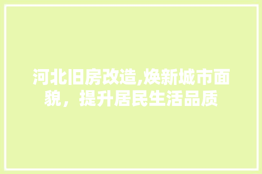 河北旧房改造,焕新城市面貌，提升居民生活品质