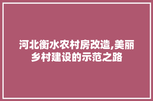河北衡水农村房改造,美丽乡村建设的示范之路
