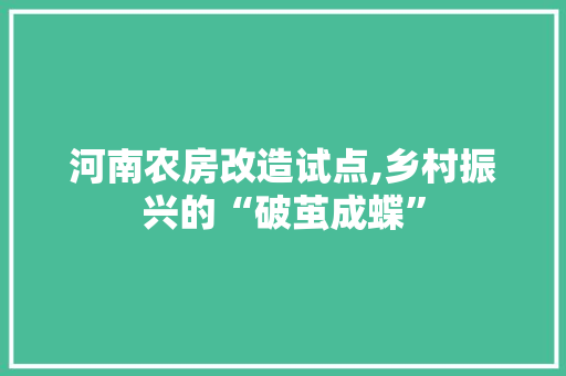 河南农房改造试点,乡村振兴的“破茧成蝶”