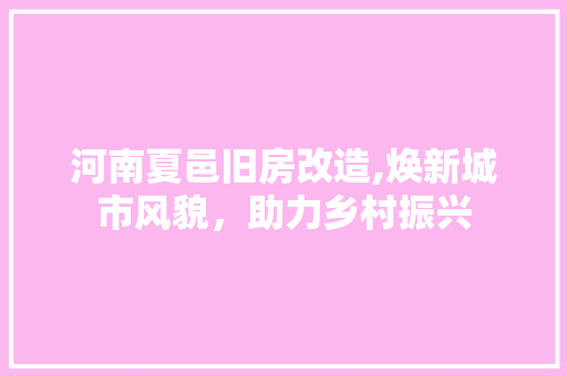 河南夏邑旧房改造,焕新城市风貌，助力乡村振兴