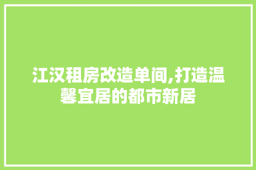 江汉租房改造单间,打造温馨宜居的都市新居
