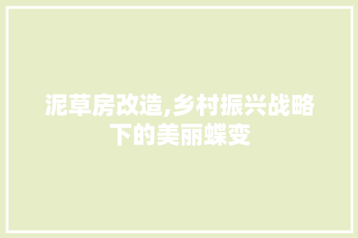 泥草房改造,乡村振兴战略下的美丽蝶变