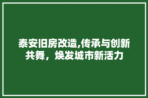 泰安旧房改造,传承与创新共舞，焕发城市新活力