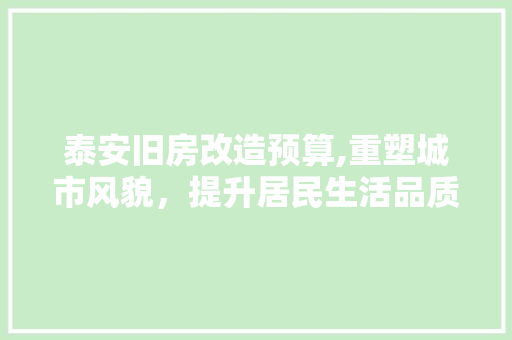 泰安旧房改造预算,重塑城市风貌，提升居民生活品质
