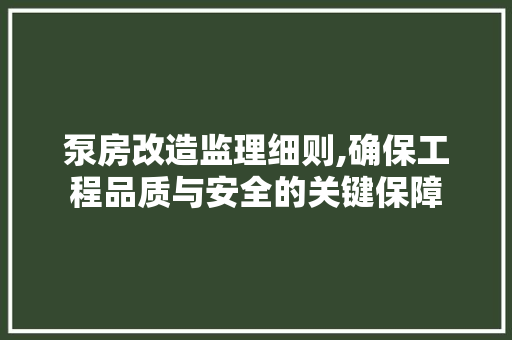 泵房改造监理细则,确保工程品质与安全的关键保障