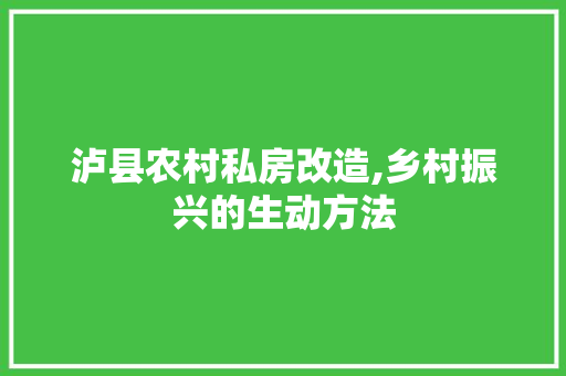 泸县农村私房改造,乡村振兴的生动方法