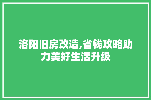 洛阳旧房改造,省钱攻略助力美好生活升级