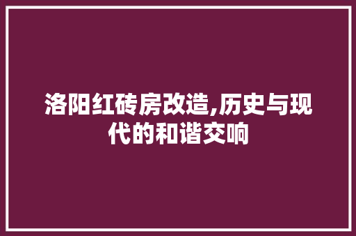 洛阳红砖房改造,历史与现代的和谐交响