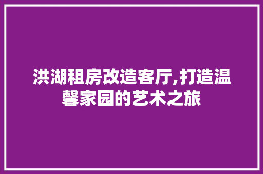 洪湖租房改造客厅,打造温馨家园的艺术之旅