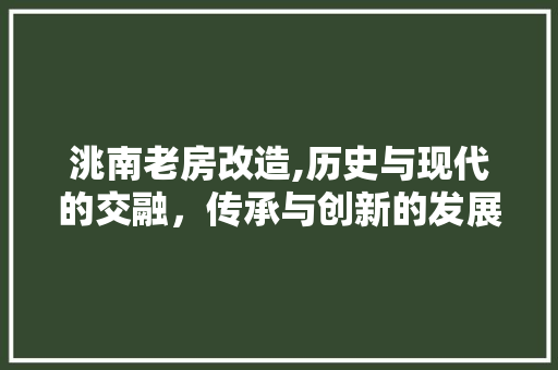 洮南老房改造,历史与现代的交融，传承与创新的发展