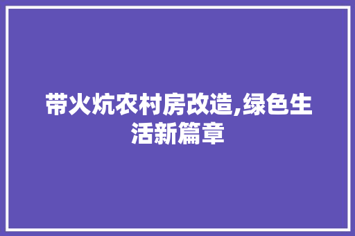 带火炕农村房改造,绿色生活新篇章