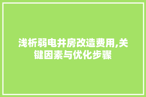 浅析弱电井房改造费用,关键因素与优化步骤
