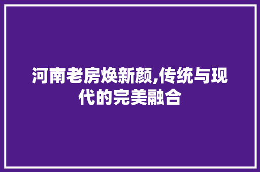 河南老房焕新颜,传统与现代的完美融合