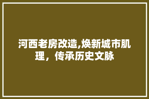 河西老房改造,焕新城市肌理，传承历史文脉