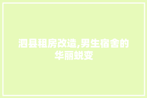 泗县租房改造,男生宿舍的华丽蜕变