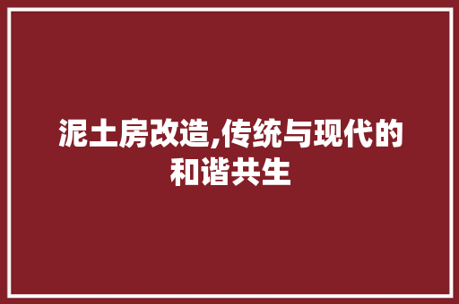 泥土房改造,传统与现代的和谐共生