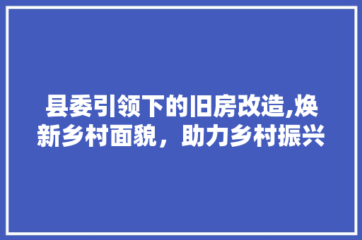 县委引领下的旧房改造,焕新乡村面貌，助力乡村振兴