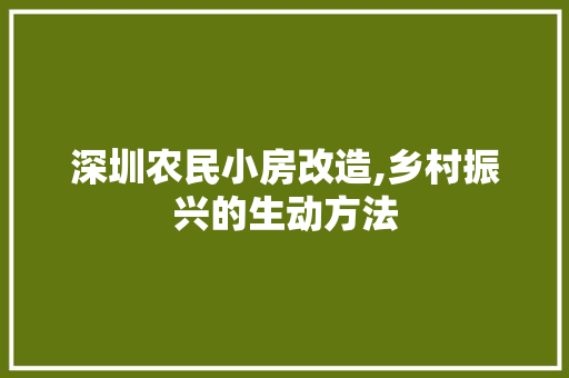 深圳农民小房改造,乡村振兴的生动方法