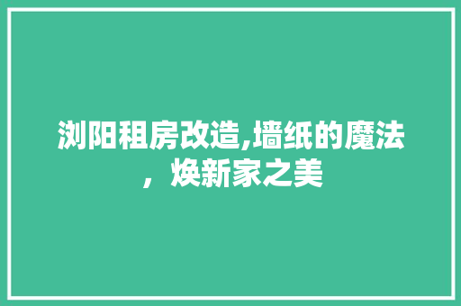 浏阳租房改造,墙纸的魔法，焕新家之美