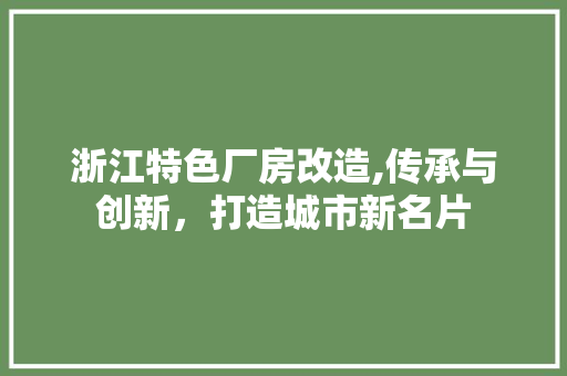 浙江特色厂房改造,传承与创新，打造城市新名片