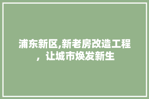 浦东新区,新老房改造工程，让城市焕发新生