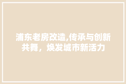 浦东老房改造,传承与创新共舞，焕发城市新活力