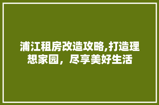 浦江租房改造攻略,打造理想家园，尽享美好生活