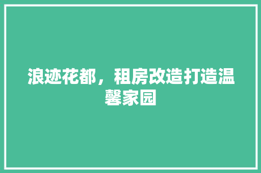 浪迹花都，租房改造打造温馨家园