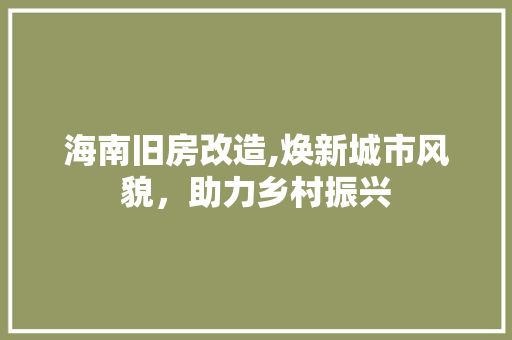 海南旧房改造,焕新城市风貌，助力乡村振兴