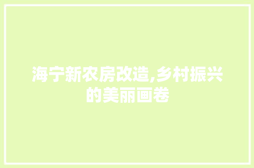 海宁新农房改造,乡村振兴的美丽画卷