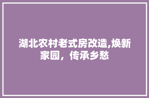 湖北农村老式房改造,焕新家园，传承乡愁