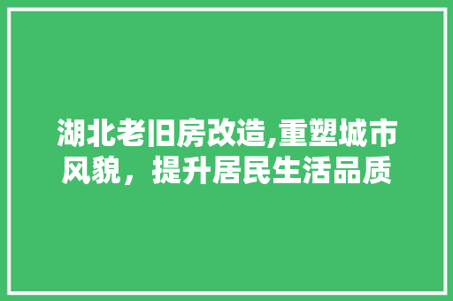 湖北老旧房改造,重塑城市风貌，提升居民生活品质