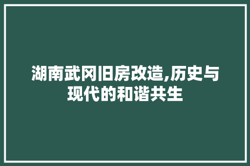 湖南武冈旧房改造,历史与现代的和谐共生
