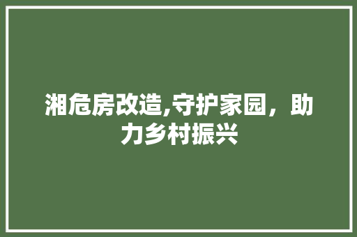 湘危房改造,守护家园，助力乡村振兴