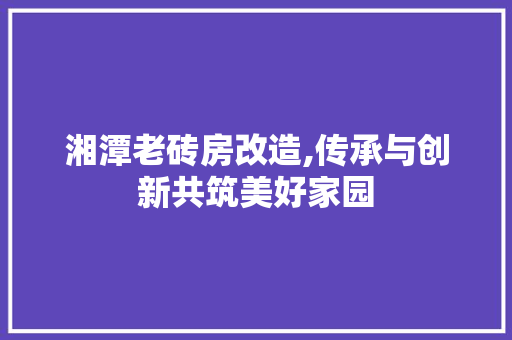 湘潭老砖房改造,传承与创新共筑美好家园