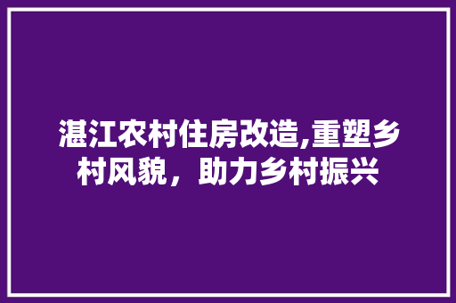 湛江农村住房改造,重塑乡村风貌，助力乡村振兴