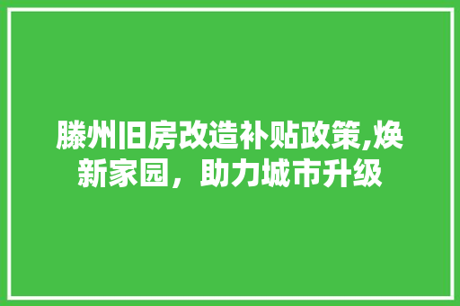 滕州旧房改造补贴政策,焕新家园，助力城市升级