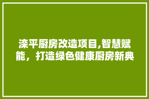 滦平厨房改造项目,智慧赋能，打造绿色健康厨房新典范