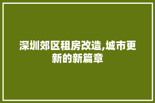 深圳郊区租房改造,城市更新的新篇章