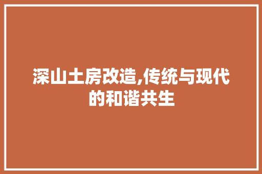 深山土房改造,传统与现代的和谐共生
