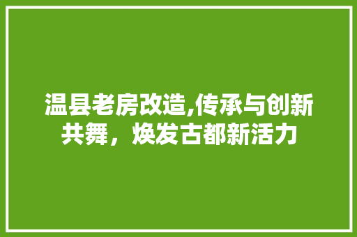 温县老房改造,传承与创新共舞，焕发古都新活力