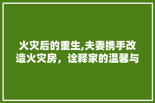 火灾后的重生,夫妻携手改造火灾房，诠释家的温馨与坚韧
