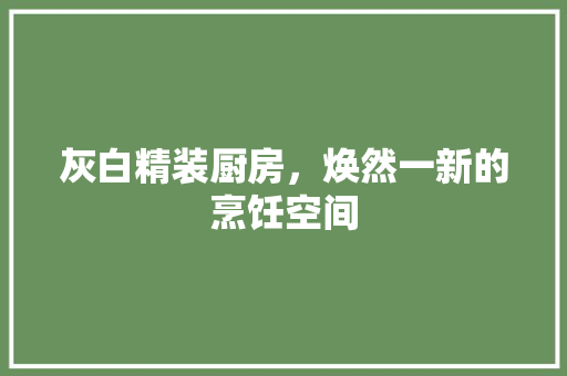 灰白精装厨房，焕然一新的烹饪空间